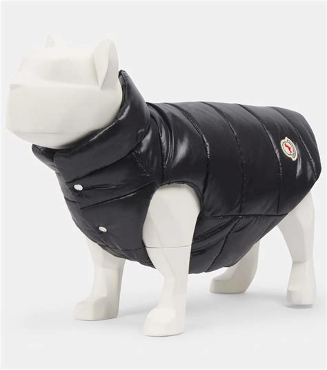 fake moncler dog coat